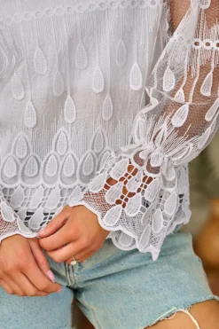Online Dear-Lover Embroidered Mesh Flounce Sleeve Blouse Beige