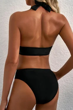 Discount Dear-Lover Sheer Mesh Edged Halter V Neck Push Up Bikini Black