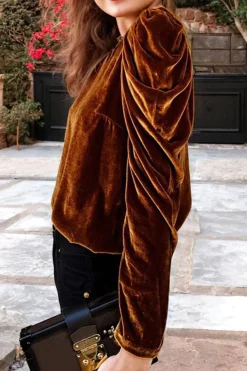 Fashion Dear-Lover Frilled Collar Puff Sleeve Velvet Top Chestnut