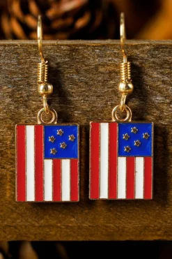 Hot Dear-Lover American Flag Print Patriotic Hook Earrings Dark Blue