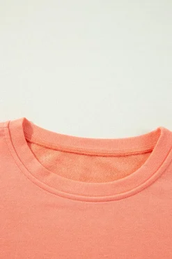 Best Dear-Lover Rainbow Striped Sleeve Crew Neck Loose Sweatshirt Flamingo