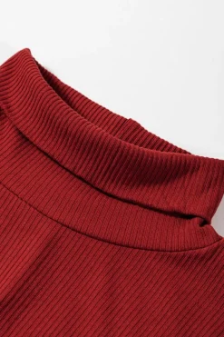 Best Dear-Lover Ribbed Knit Long Sleeve High Neck Mini Dress Racing Red
