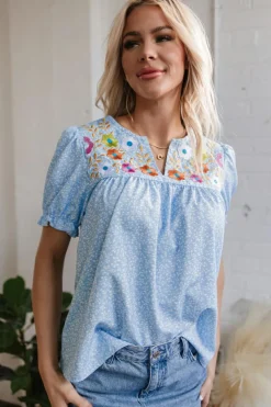 Discount Dear-Lover Floral Embroidered Puff Sleeve Notched V Neck Blouse Sky Blue