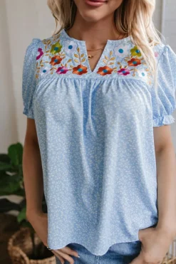 Discount Dear-Lover Floral Embroidered Puff Sleeve Notched V Neck Blouse Sky Blue